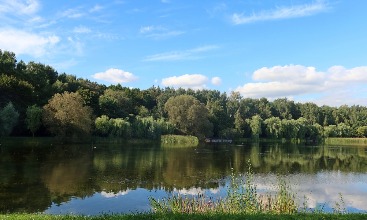 В осеннем парке - Дмитрий И_