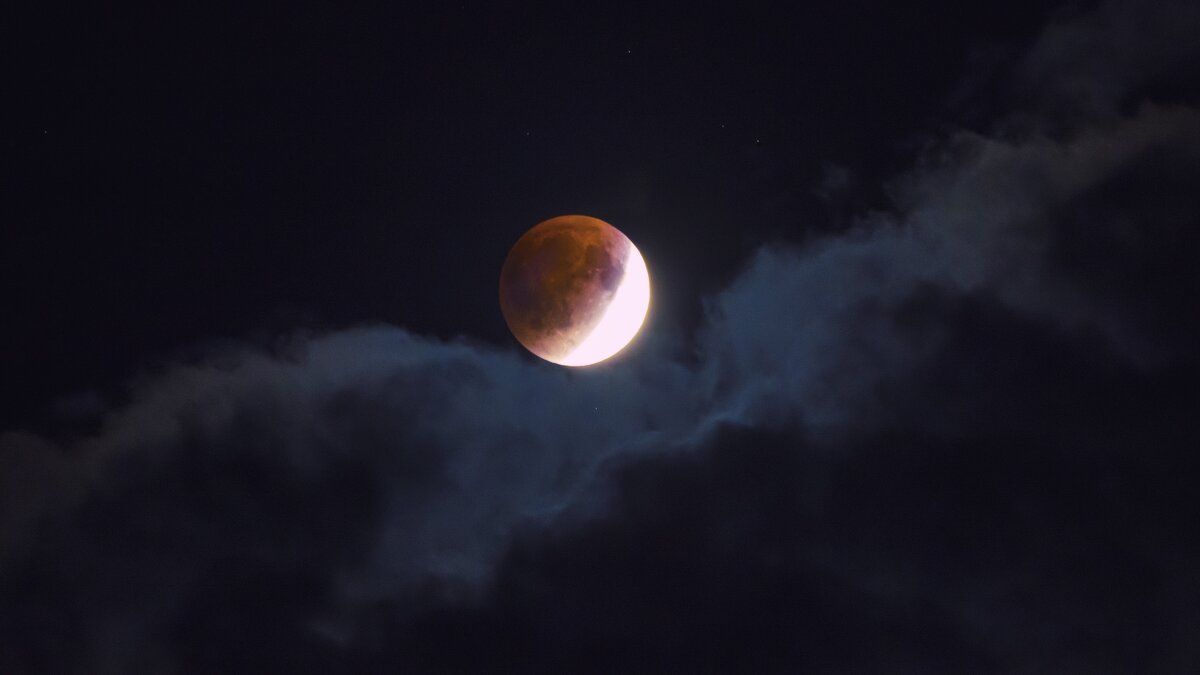 ... - Dmitry Ozersky