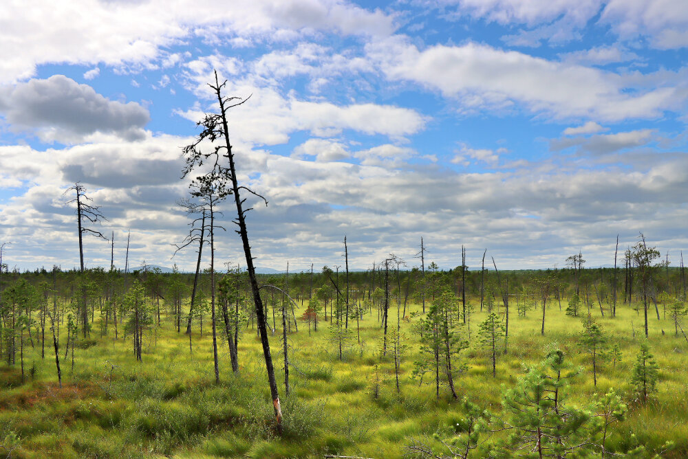 Там, где начинается Западная Сибирь - Галина Ильясова