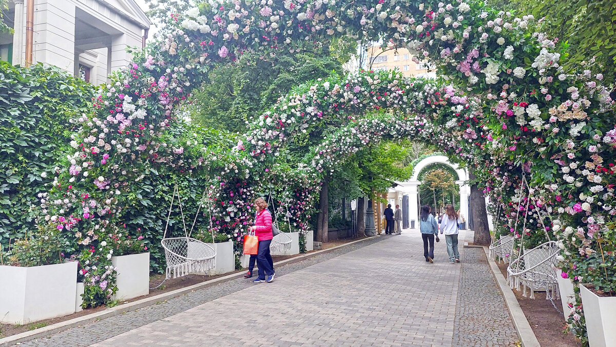 Сад им. Баумана. - ИРЭН@ . Сад им. Баумана. - ИРЭН@ .