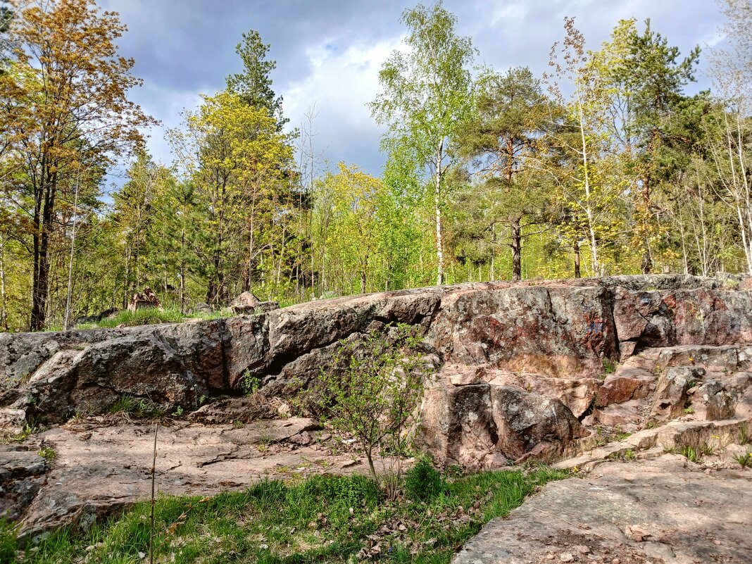 Природа Батарейной горы. - Лия ☼ Природа Батарейной горы. - Лия ☼