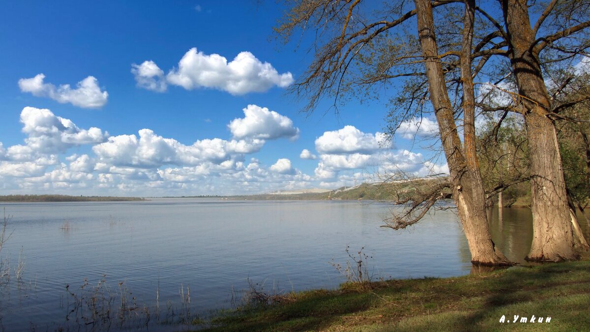 На Волге. - Анатолий Уткин