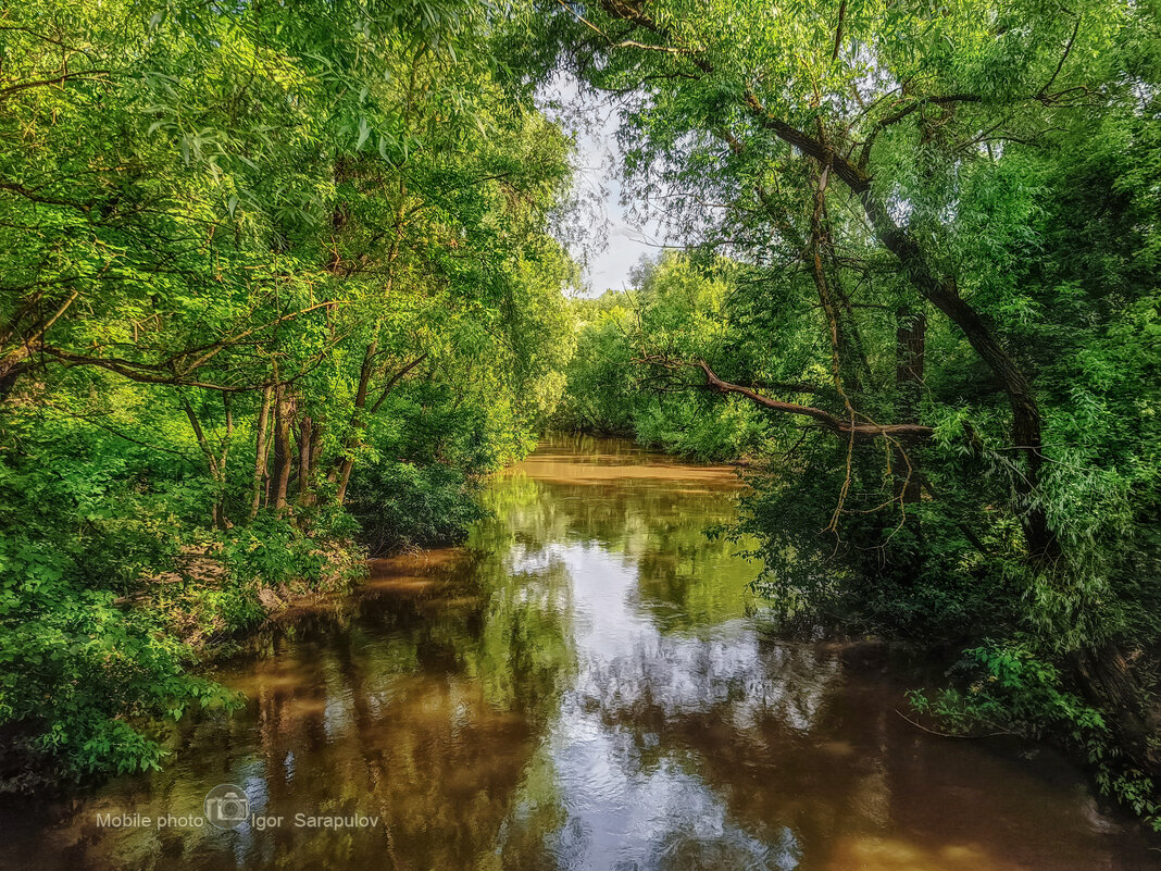 Яуза - Игорь Сарапулов Яуза - Игорь Сарапулов