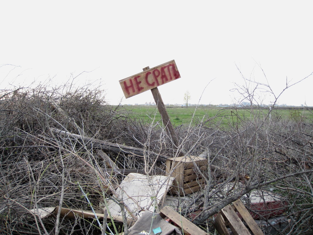 Так бы сразу и сказали... - Gen Vel