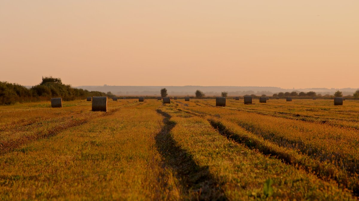 Полюшко - Натали Королева