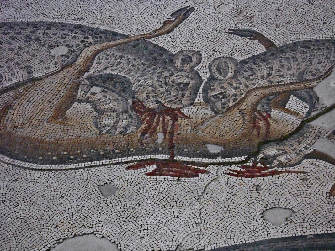 Стамбул - 33 - Артём Кузнецов