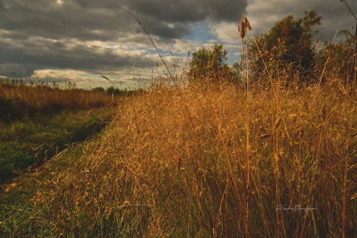 природа - סּﮗRuslan HAIBIKE Sevastyanovסּﮗסּ