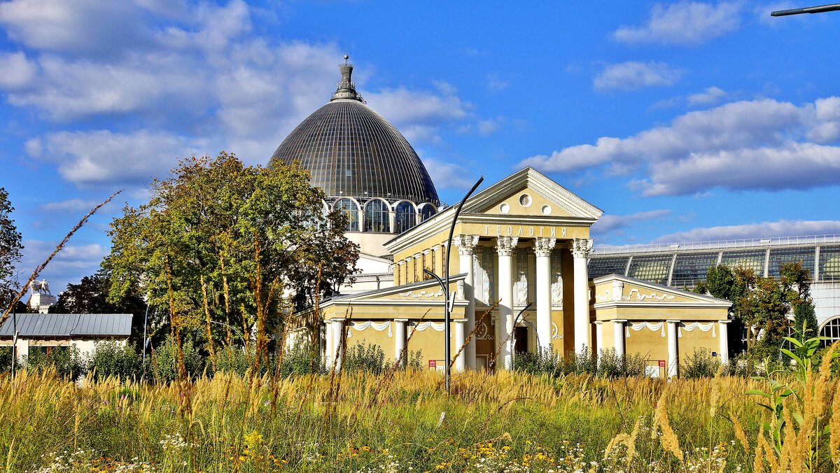 ВВЦ - АЛЕКСАНДР 