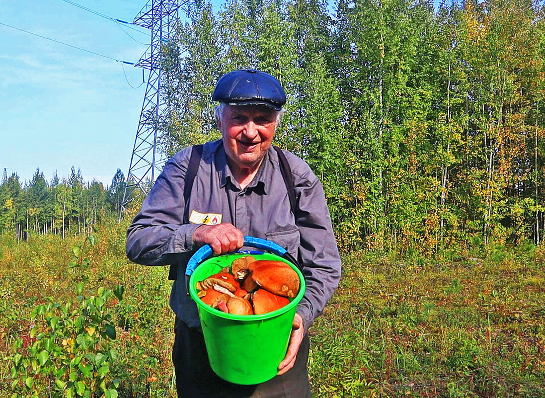 Осень...грибная! - Владимир 