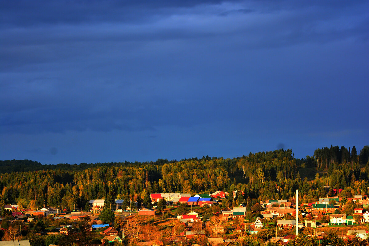 на контрасте - леонид логинов