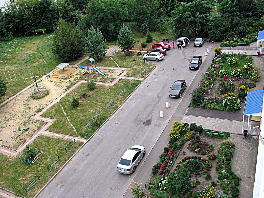 Лето. - Владимир Драгунский Лето. - Владимир Драгунский