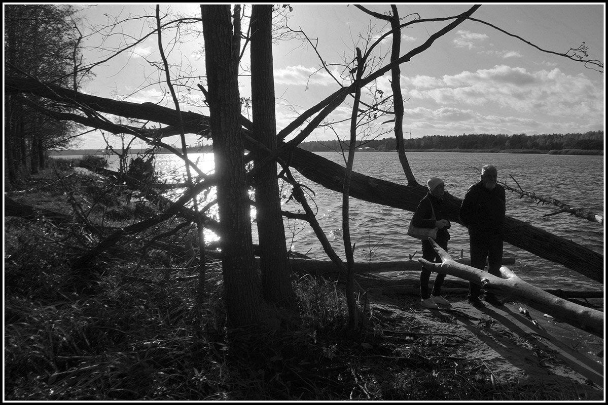 После урагана... - Aleksandr Gal