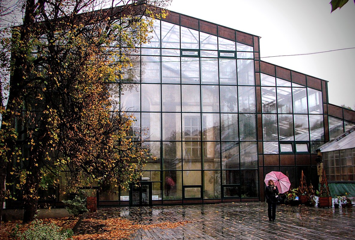 А в Аптекарском огороде дождь,,, - Анатолий Колосов