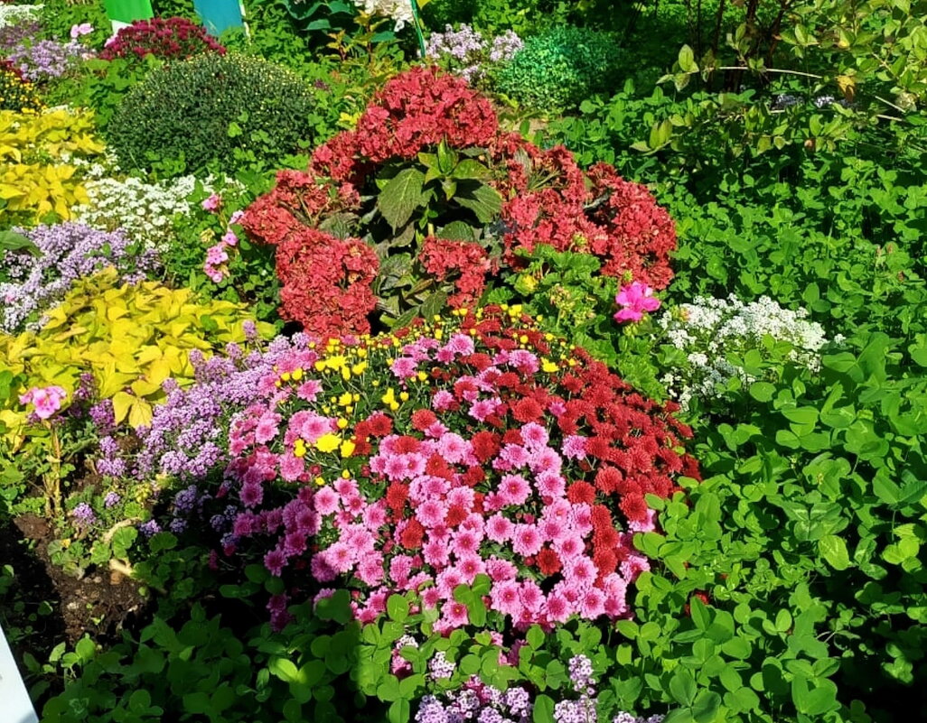 Прогулка по Москве.Краски сентября. - Ольга Довженко