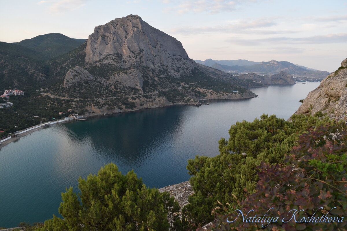 Природа Крыма - Amazing Cosmea