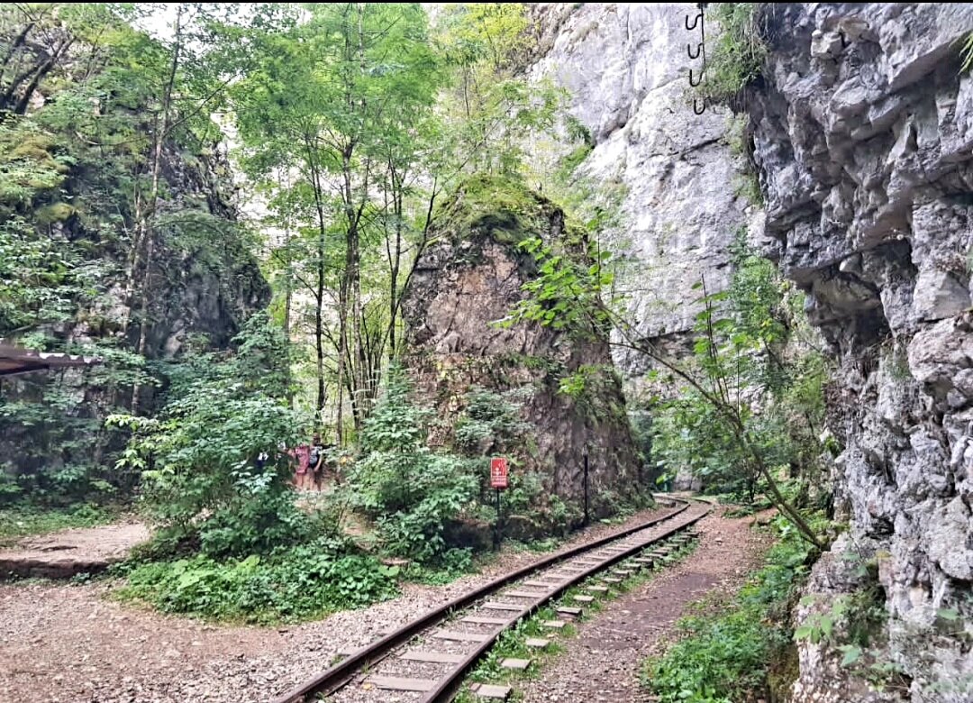 ГУАМСКОЕ УЩЕЛЬЕ - Tata Wolf