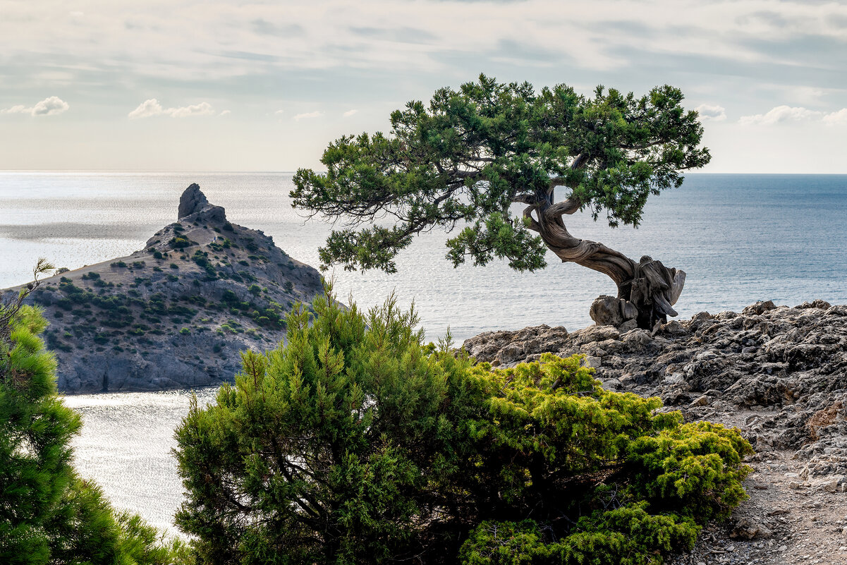 ***** - Вячеслав К
