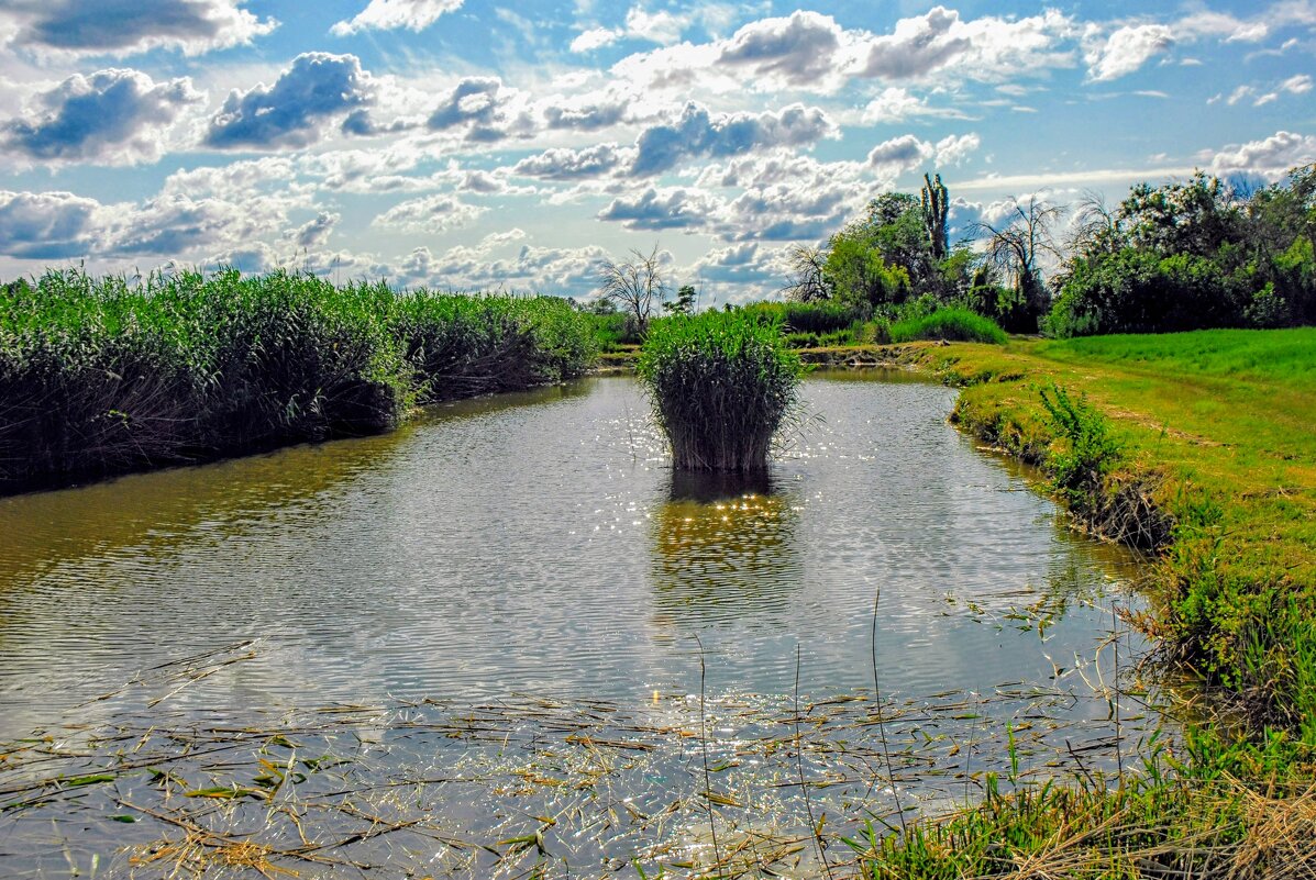 Лето. - Владимир Лето. - Владимир