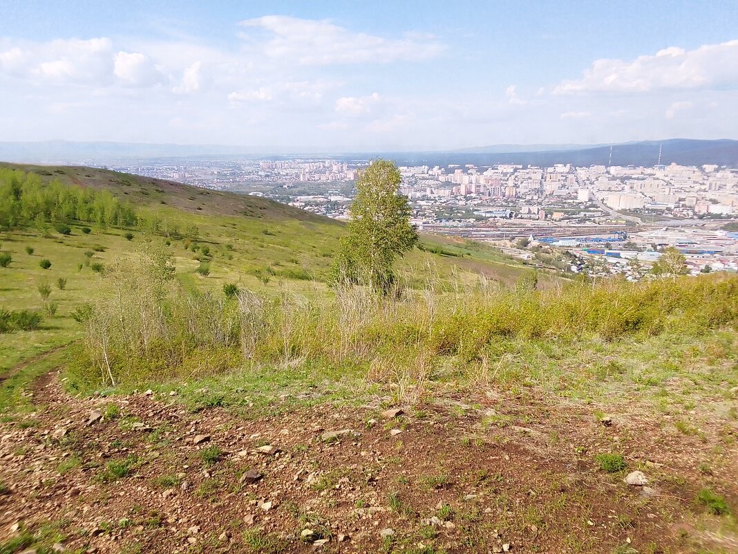 Титовская сопка. Вершина №1 - Екатерина Панова