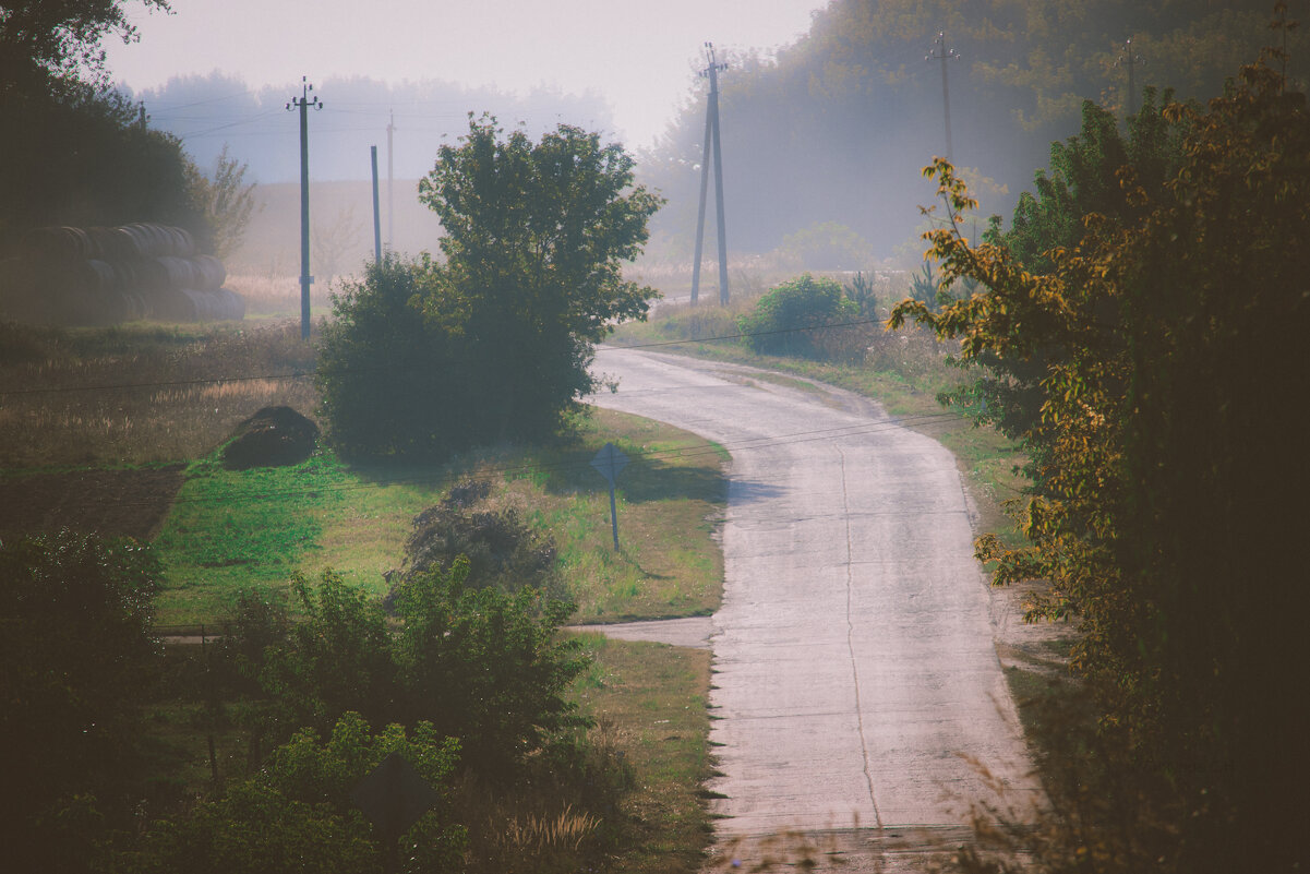 По дороге из Крыжино - Sergei Vikulov