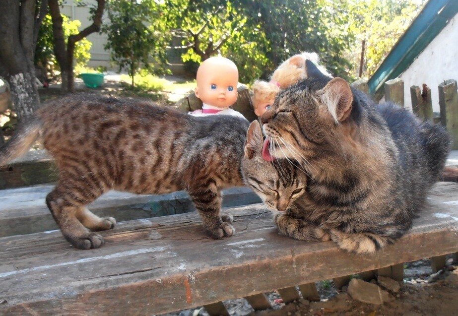 Заботливый отец - Наталья 