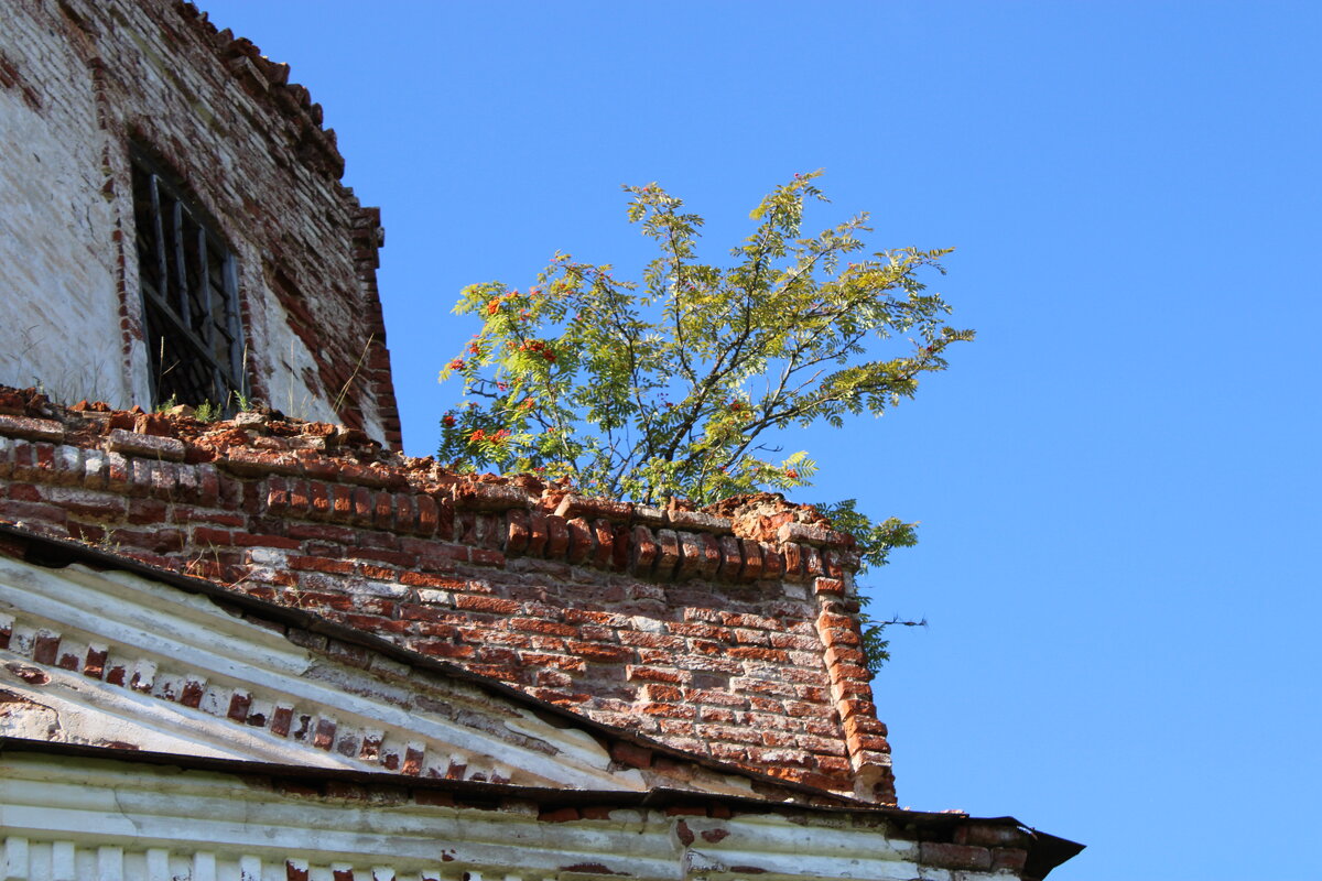 ... - Ирина Лесиканич