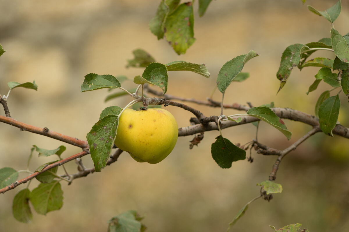 No name - Александр Алексеев