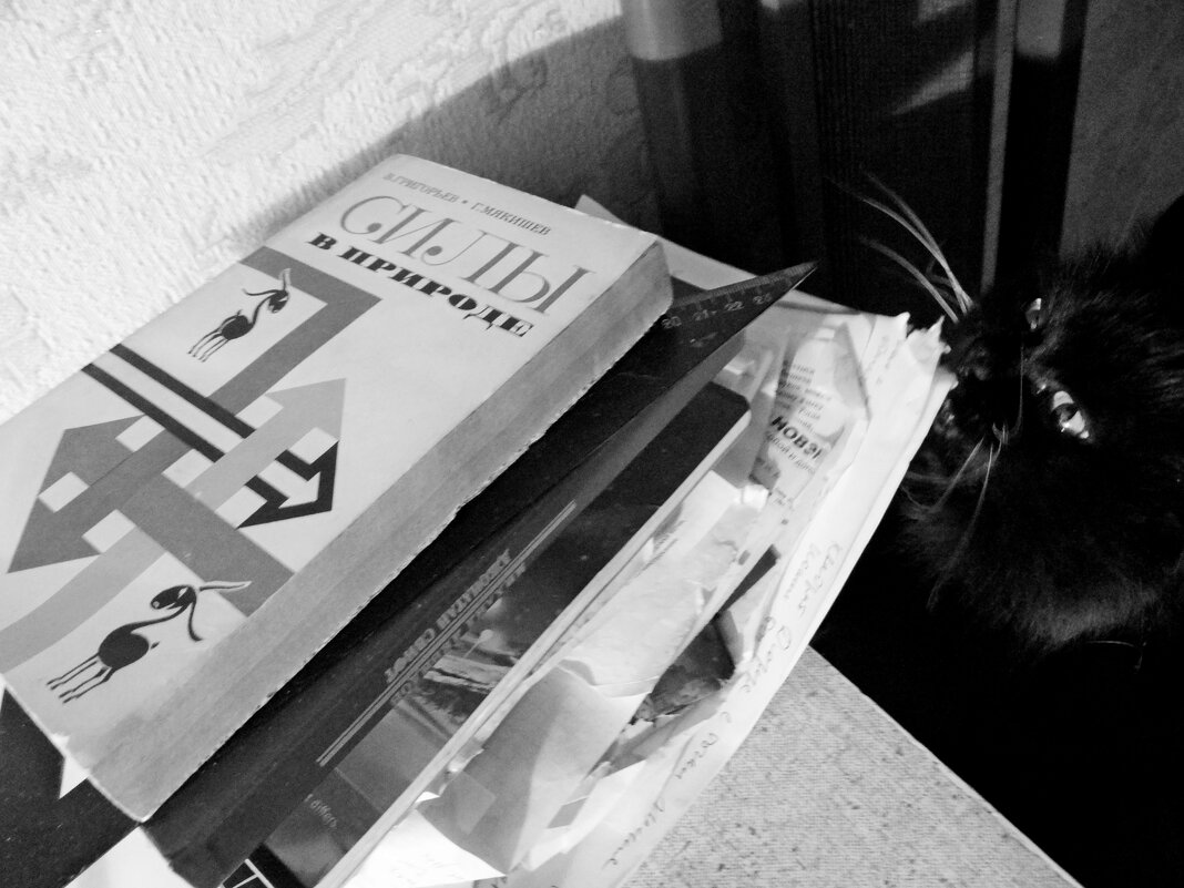 В чем сила, брат? Сила - в ньютонах... - Maria Rainer