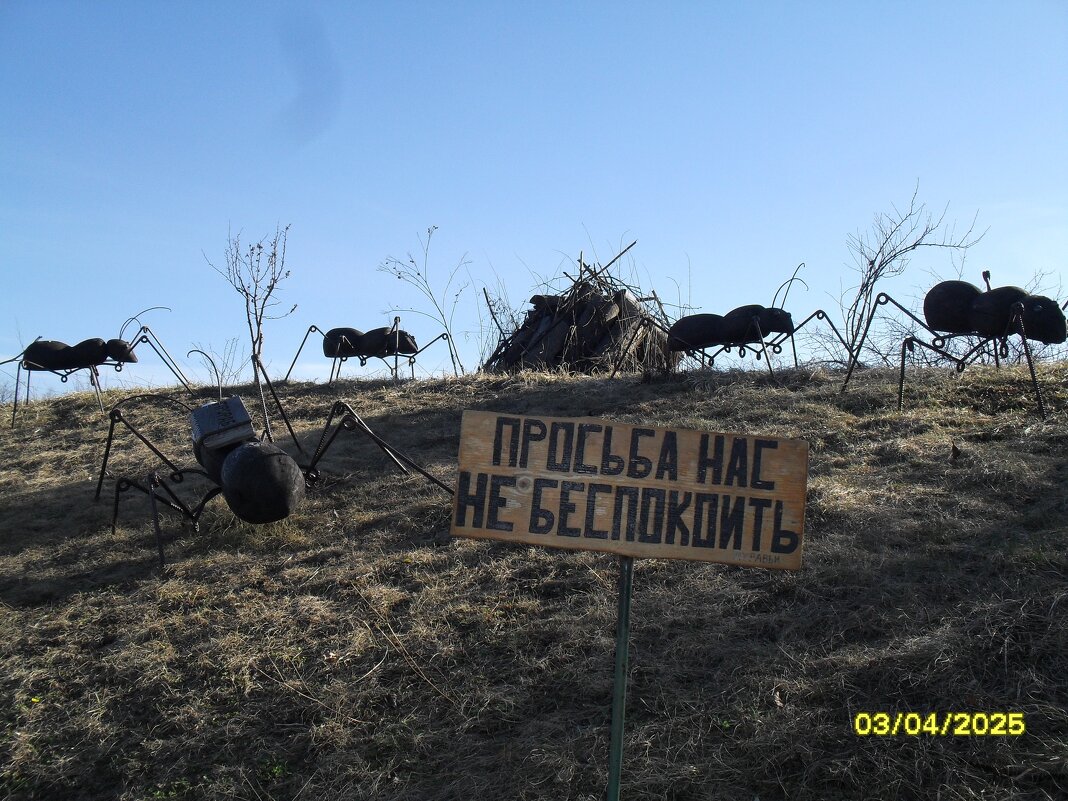 Муравьи работают - fogmeadowww m