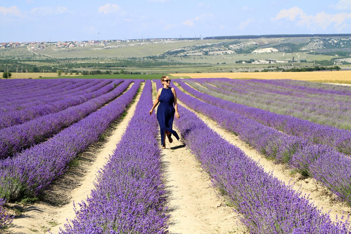 Лаванда - Геннадий Валеев Лаванда - Геннадий Валеев