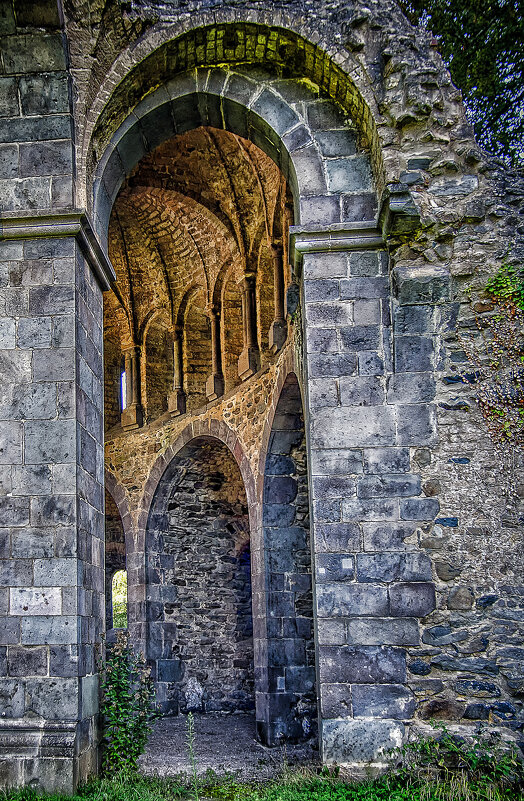 Руины хора монастыря Хайстербах - Андроник Александр 