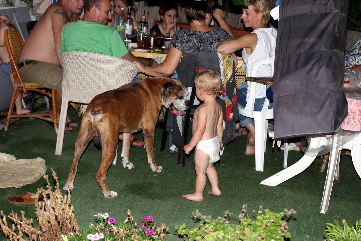 Каждому свое - Аркадий Басович