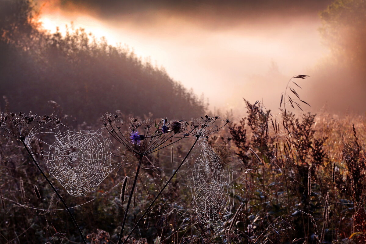 Утро 10 сентября. Царицыно - Михаил Бибичков