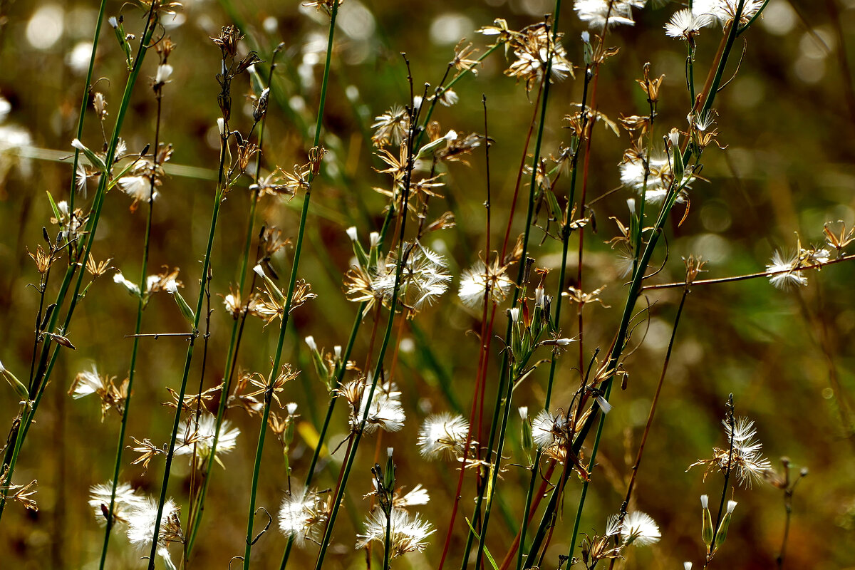 из вчерашней съёмки 1 - Александр Прокудин из вчерашней съёмки 1 - Александр Прокудин
