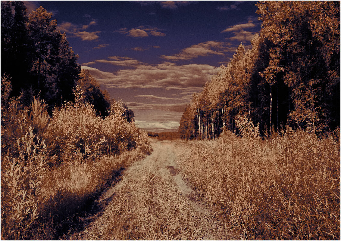 Июньский вечер ( инфракрасная фотография ) - Валентин Котляров Июньский вечер ( инфракрасная фотография ) - Валентин Котляров