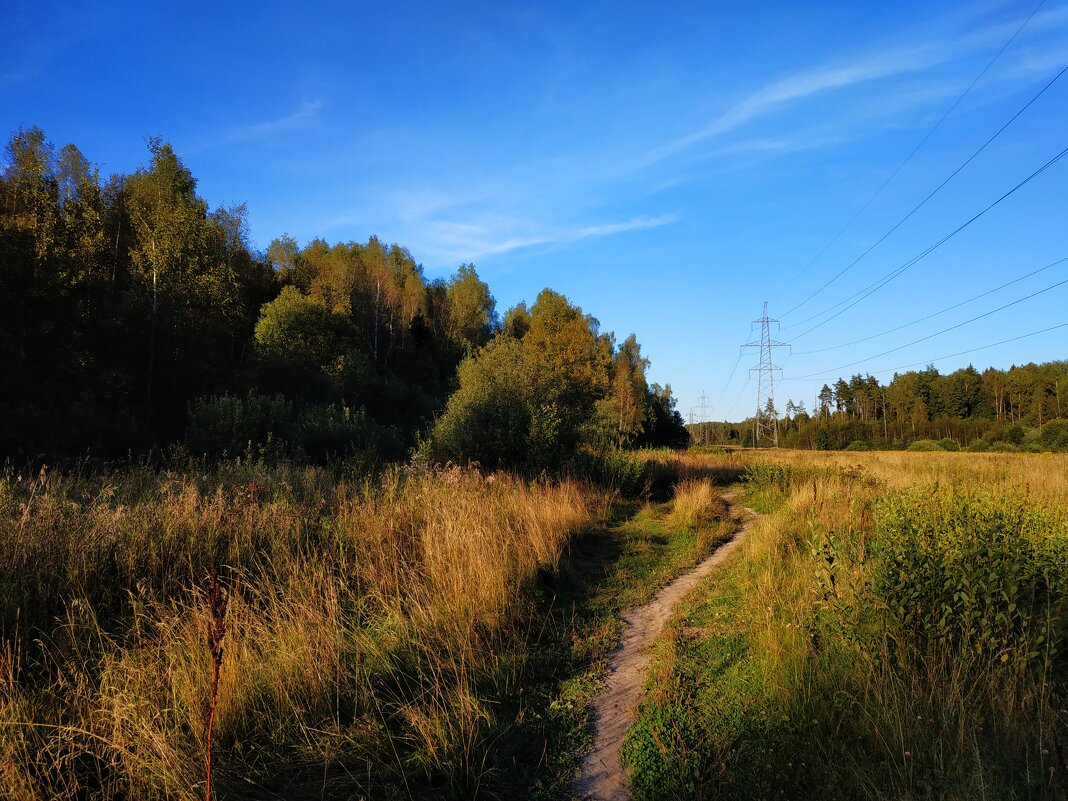 Бабье лето в ближнем Подмосковье - Андрей Лукьянов Бабье лето в ближнем Подмосковье - Андрей Лукьянов