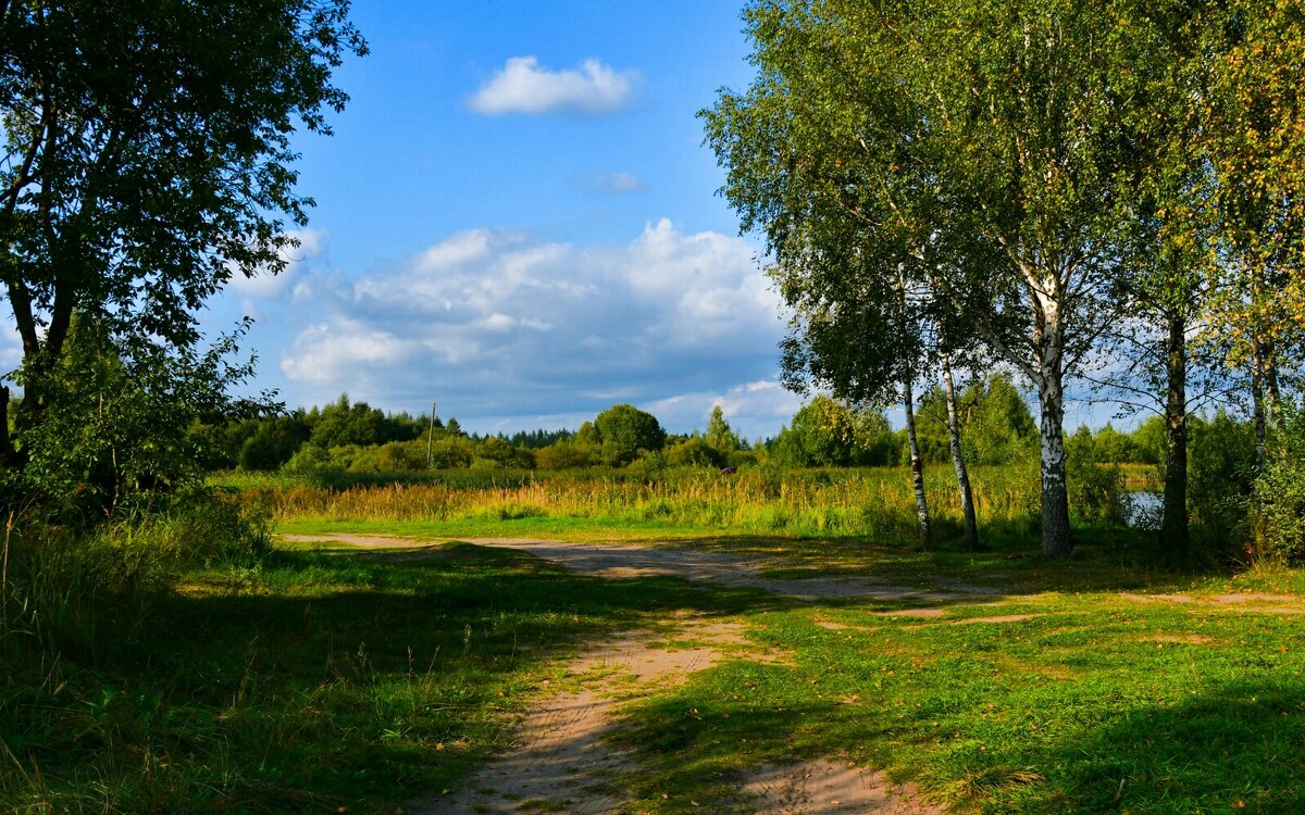 Осень в сентябре. - Милешкин Владимир Алексеевич 