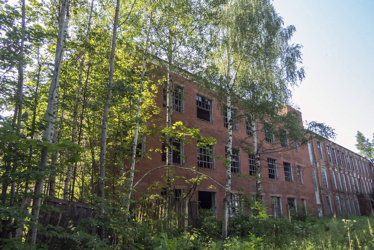 Под ударами судьбы - Сергей Цветков Под ударами судьбы - Сергей Цветков