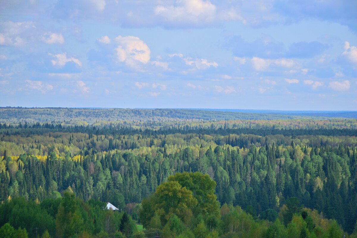- - Владимир Мигонькин
