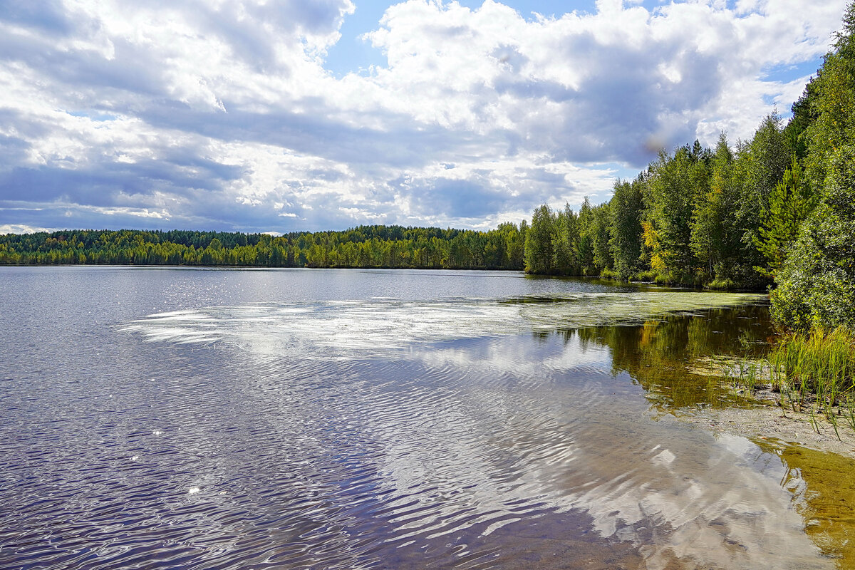 На лесном озере - Галина Кан