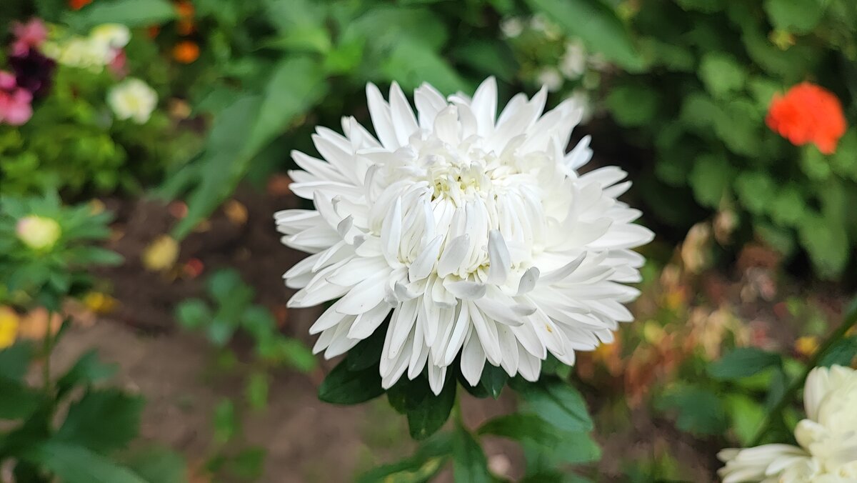 ,,, - Сергей Тимоновский