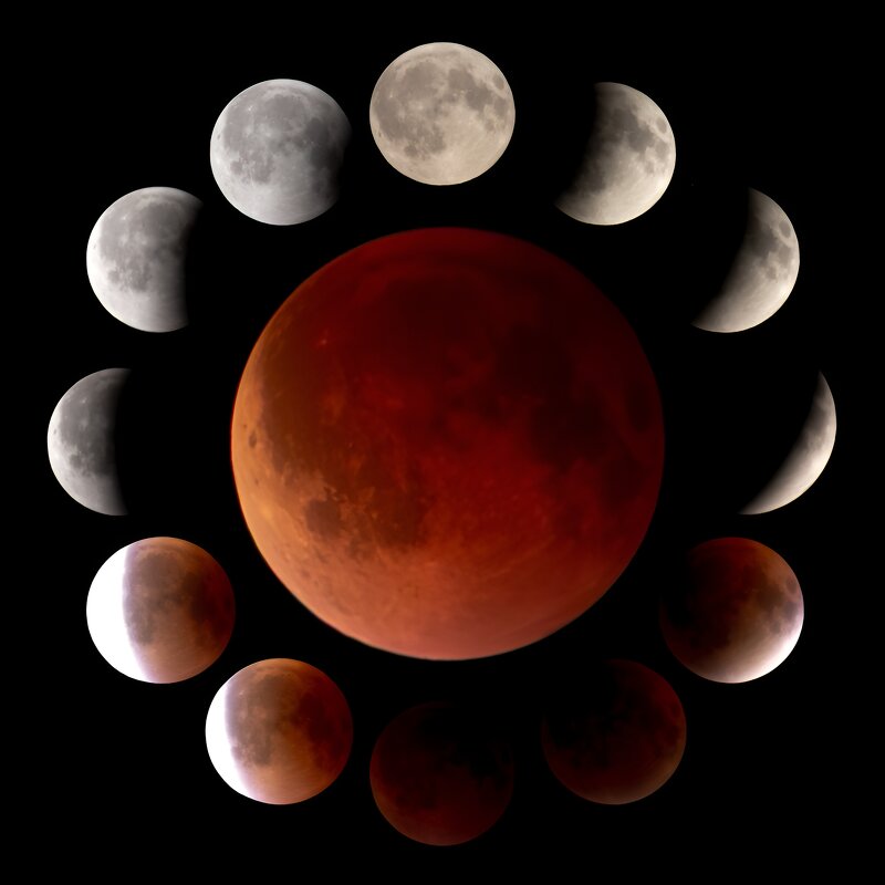 moonflower - Вячеслав 