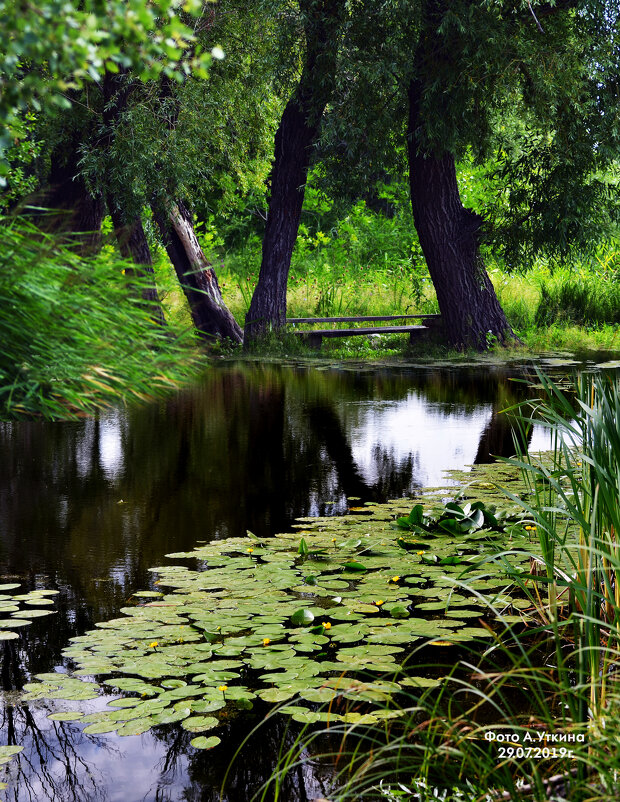 *** - Анатолий Уткин