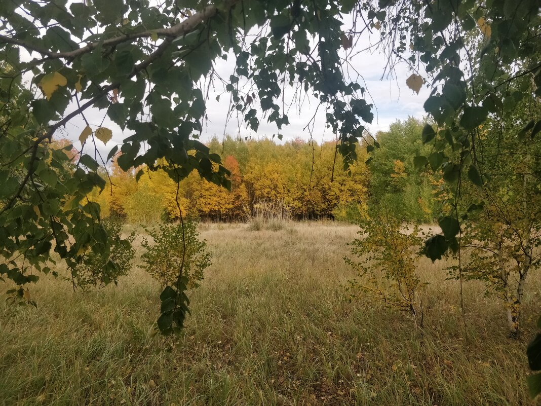 Осень.Краски природы. - Андрей Хлопонин