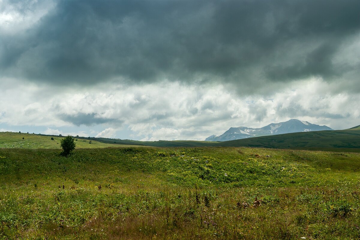 Плато Лаго-Наки, июль - Игорь Сикорский