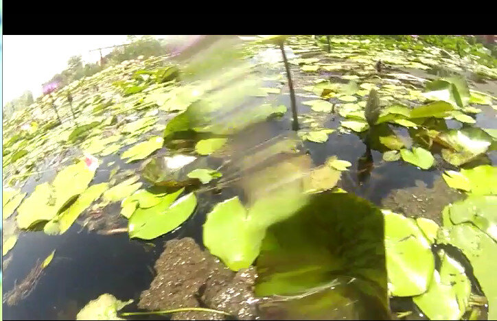 113 (89) - CLOSE WAYS ALL