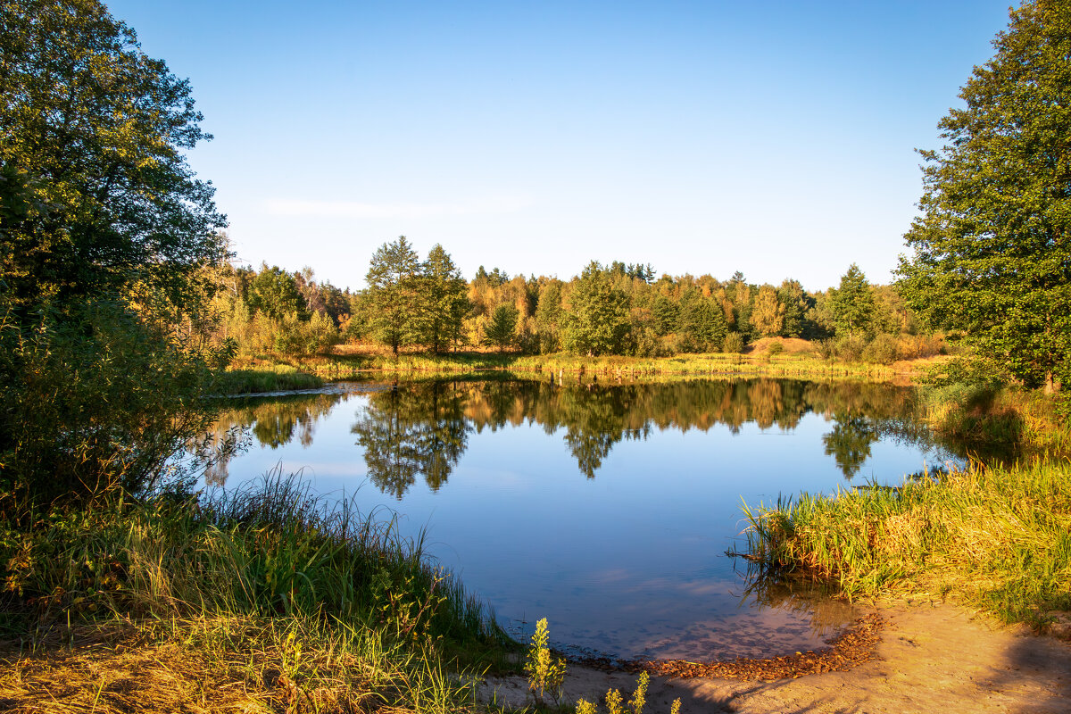 *** - Игорь Чичиль