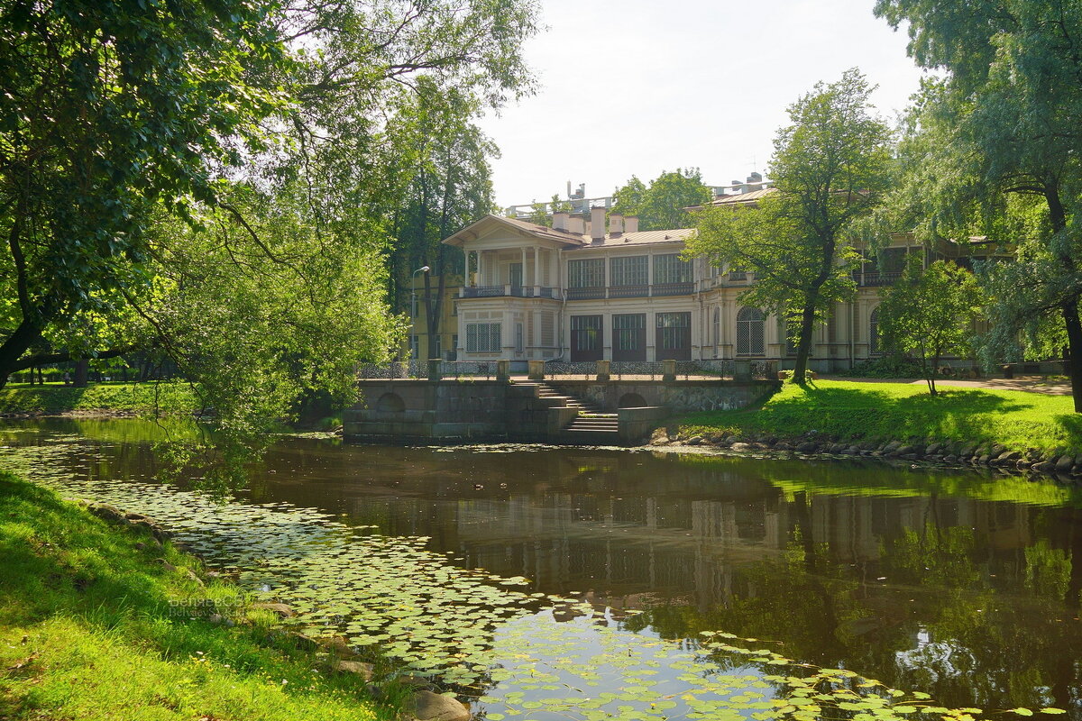 В Лопухинском саду - Сергей Беляев