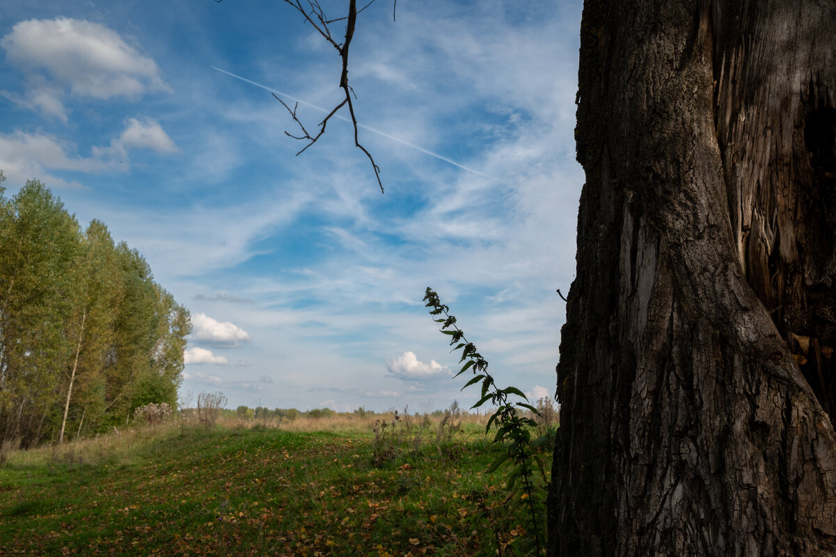 *** - Валерий Михмель *** - Валерий Михмель