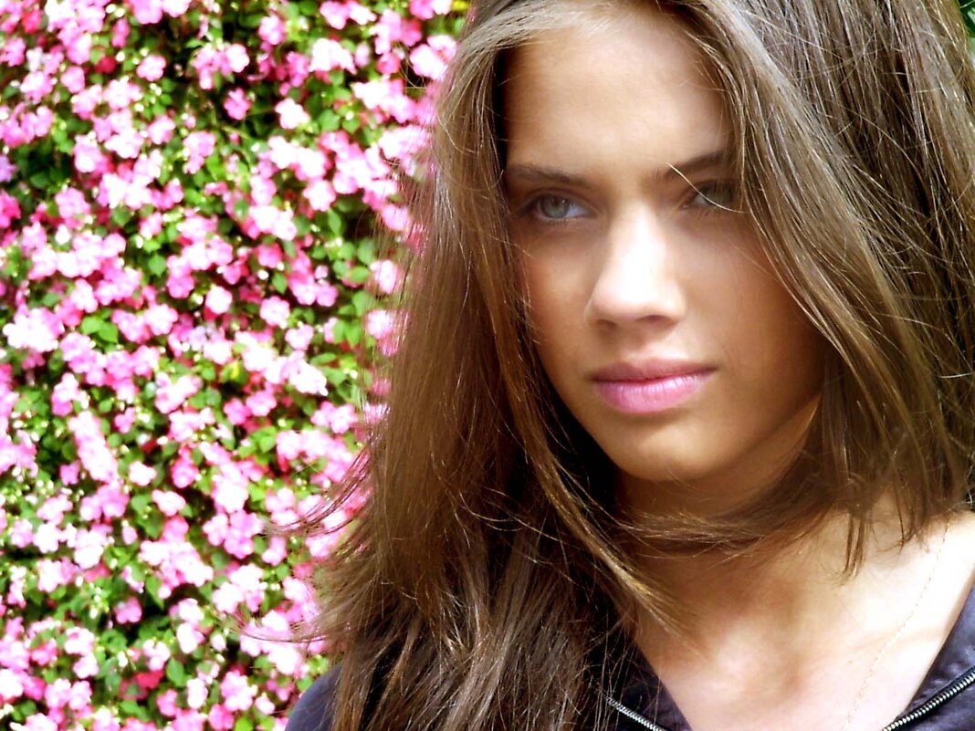 Жаклина. Юрмала 2004. - Михаил Трофимов